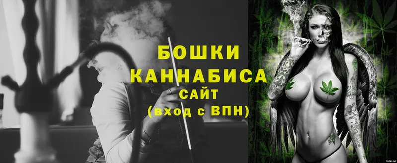 купить закладку  Каргополь  Бошки марихуана Ganja 